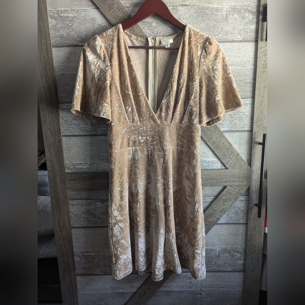 Le Lis Crushed Velvet Dress